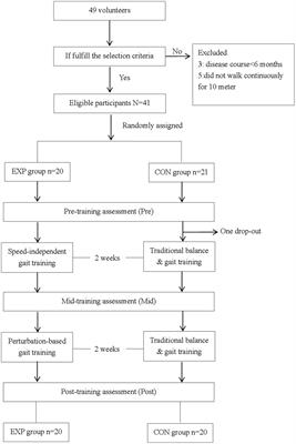 Feasibility of challenging treadmill speed-dependent gait and perturbation-induced balance training in chronic stroke patients with low ambulation ability: a randomized controlled trial